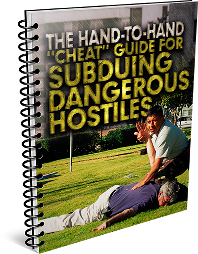 The Hand-To-Hand Cheat Guide For Subduing Dangerous Hostiles