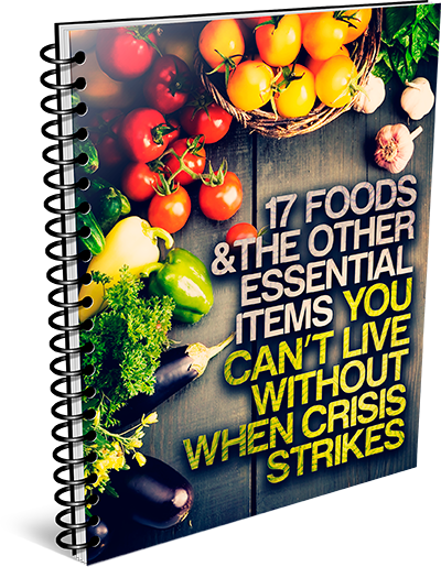 17 Foods&The Other Essential Items You Can't Live Without When Crisis Strikes